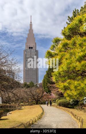 Tokio, Japan - 14. März 2025: Shinjuku Gyoen National Botanical Garden mit NTT Docomo Yoyogi Skycraper im Hintergrund Stockfoto