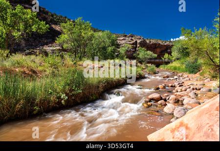Der Fremont River fließt über Felsen im Capitol Reef National Park. Grüne Bäume säumen das Ufer und kontrastieren mit den roten Felsklippen unter einem klaren blauen Himmel Stockfoto