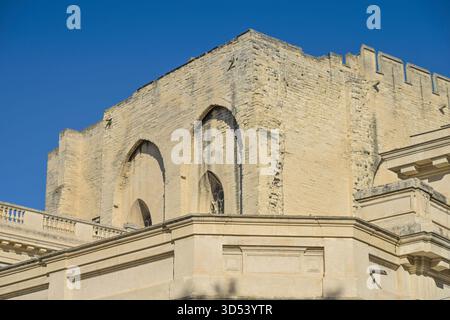Zinnen, Turm, Mauern, Papstpalast Palais des Papes, Avignon, Frankreich *** Zinnen, Turm, Mauern, Palais des Papes, Avignon, Frankreich Stockfoto
