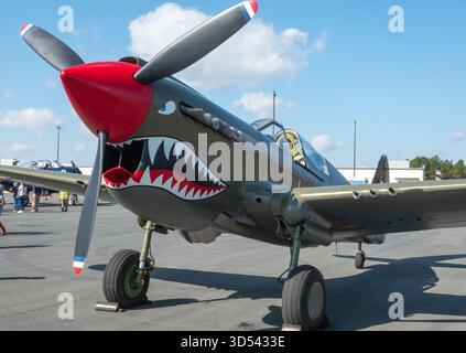 MONROE, NC (USA) - 9. November 2025: Ein P-40 Warhawk Kampfflugzeug auf der Warbirds Over Monroe Air Show. Stockfoto