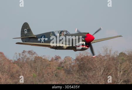 MONROE, NC (USA) - 9. November 2025: Ein P-40 Warhawk Kampfflugzeug im Flug während der Warbirds Over Monroe Air Show. Stockfoto