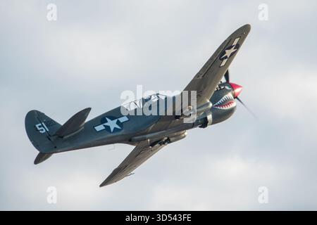 MONROE, NC (USA) - 9. November 2025: Ein P-40 Warhawk Kampfflugzeug im Flug während der Warbirds Over Monroe Air Show. Stockfoto