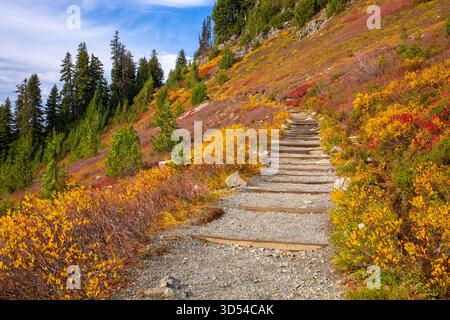 Gewundener Wanderweg umgeben von üppigem Herbstlaub in Mt. Rainier National Park im Bundesstaat Washington im Herbst Stockfoto
