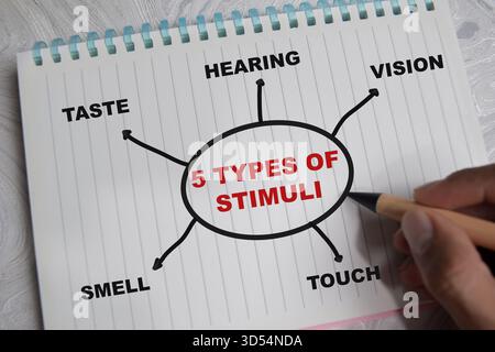 Konzept der Mindmap 5 Arten von Reizen schreiben auf Buch mit Schlüsselwörtern isoliert auf Holztisch. Stockfoto