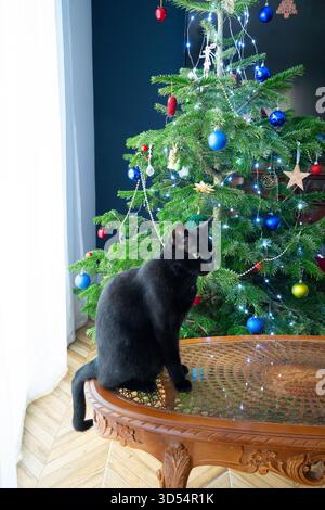 Eine gemütliche Katze mit süßem Weihnachtsmütze, die friedlich am wunderschön dekorierten Weihnachtsbaum schläft Stockfoto