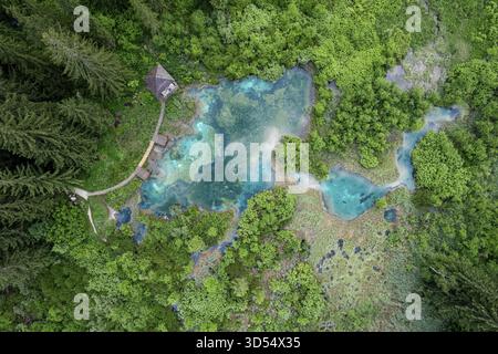 Naturschutzgebiet Zelenci in Slowenien. Bergfeuchtgebiete mit türkisfarbenem See, seltenen Pflanzen und Watvögeln. Drohnenansicht aus der Luft, Slowenien Stockfoto