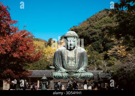 Die Statue des Großen Buddha (Daibutsu) am Kotoku-in-Tempel, umgeben von Herbstlaub Stockfoto