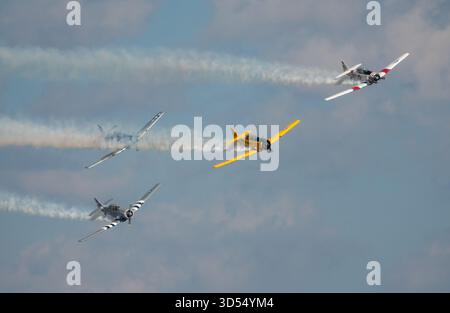 MONROE, NC (USA) – 9. November 2025: Vier texanische T-6-Flugzeuge aus dem Zweiten Weltkrieg fliegen in Formation auf der Warbirds Over Monroe Air Show. Stockfoto