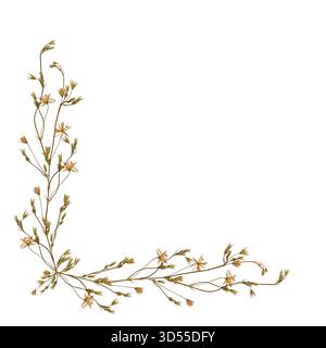 Zarte Blumenanordnung getrockneter gepresster Wildblumen, Eckdesign. Designelement für Poskarten, Hochzeitskarten, Einladungen, Rahmen. Stockfoto