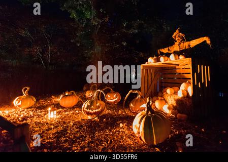 Halloween Nachtwanderung im Blenheim Palace, Woodstock, Großbritannien Stockfoto