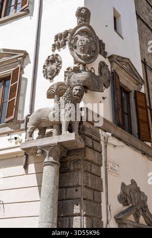 Italien - Viterbo - Piazza del Plebiscito - Löwe mit Palmenemblem an der Ecksäule von Palazzo dei priori Stockfoto