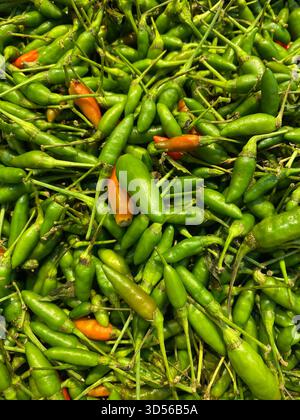 Grüner, heißer Chili-Pfeffer im Angebot Stockfoto