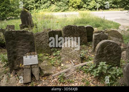 Neuer jüdischer Friedhof aus dem 19. Jahrhundert in Kazimierz Dolny, Polen © Wojciech Strozyk / Alamy Stock Photo Stockfoto