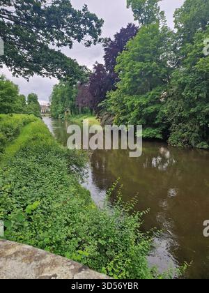 Ein ruhiger Fluss, der durch üppige grüne Vegetation in Memmingen fließt, mit dichten Bäumen und Reflexionen, die eine friedliche Naturlandschaft schaffen. Stockfoto