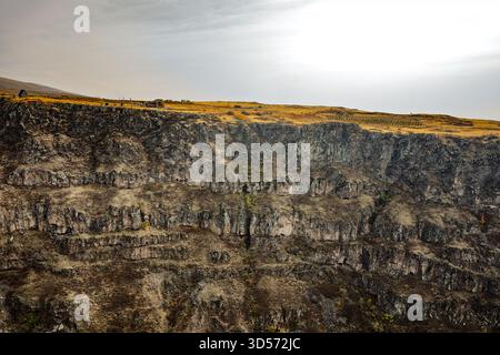 Eine felsige Klippe mit ein paar Bäumen und ein paar Kühen. Die Kühe grasen auf dem Gras Stockfoto
