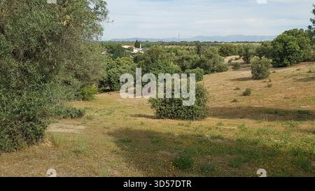 Paisaje en la Quinta del Duque - Madrid Stockfoto