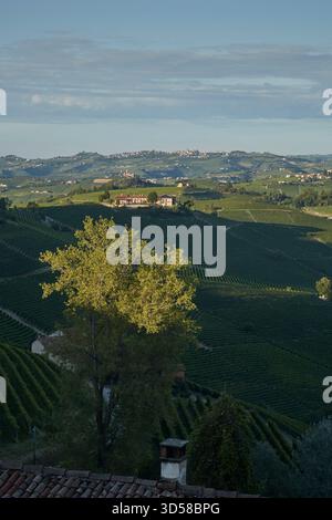 Blick auf die Weinberge von Langhe vom Dorf Novello. Stockfoto