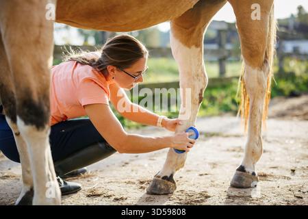 Eine Viehzüchterin bürstet und pflegt Pferdebeine nach dem Reiten im Fahrerlager. Tierpflege auf der Ranch Stockfoto