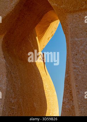 Gemeine oder europäische Mauerechse Podarcis muralis auf Felsen in Zypern. Stockfoto