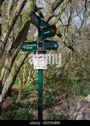 Richtungsschild für Fußwege, Nebenstraßen und Brückenwege in den Wäldern der Cold Ash. Stockfoto