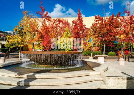 Ein Brunnen im Bellevue City Park im Bundesstaat Washington. Es ist Herbstsaison. Stockfoto