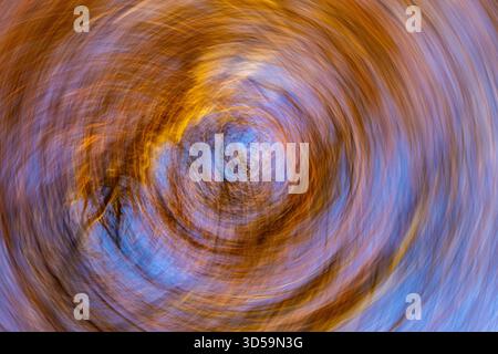 Die beabsichtigte Kamerabewegung von ICM in Dundee erzeugt durch Drehbewegungen eine spiralförmige Unschärfe von Herbstbäumen und Himmel, Schottland Stockfoto