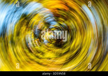 Die beabsichtigte Kamerabewegung von ICM in Dundee erzeugt durch Drehbewegungen eine spiralförmige Unschärfe von Herbstbäumen und Himmel, Schottland Stockfoto