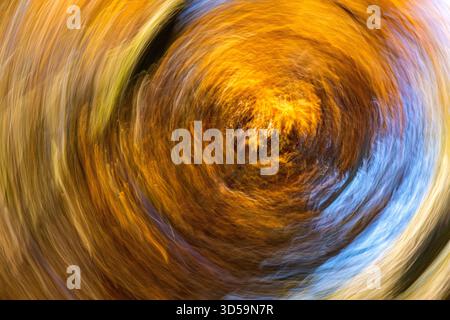 Die beabsichtigte Kamerabewegung von ICM in Dundee erzeugt durch Drehbewegungen eine spiralförmige Unschärfe von Herbstbäumen und Himmel, Schottland Stockfoto