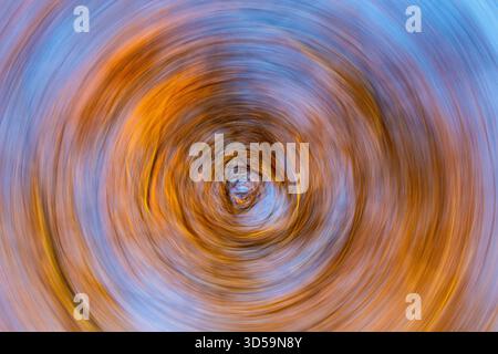 Die beabsichtigte Kamerabewegung von ICM in Dundee erzeugt durch Drehbewegungen eine spiralförmige Unschärfe von Herbstbäumen und Himmel, Schottland Stockfoto