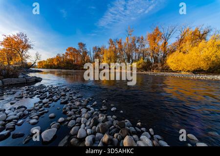 Goldene Herbstfarben am Boise River Idaho Stockfoto