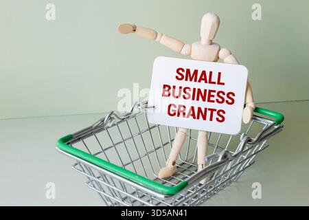 Symbol für Zuschüsse für kleine Unternehmen. Holzblöcke mit den Worten "Small Business Grants". Wunderschöner tiefblauer Hintergrund mit saftiger Pflanze. Business und Contac Stockfoto