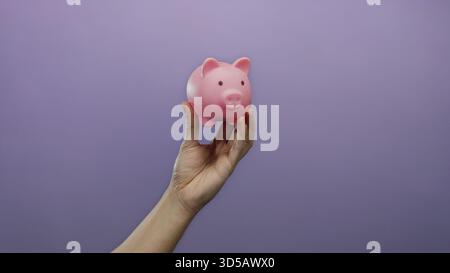 Die Hand hält eine rosa Schweinebank vor violettem Hintergrund und symbolisiert das Sparungs- und Finanzierungskonzept. Stockfoto