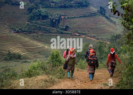 Red Dao-Frauen-Guides auf Terrassenpisten in Sa Pa, Vietnam Stockfoto