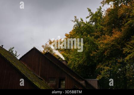 Holzhaus mit Rauch aus dem Kamin, umgeben von bunten Herbstwäldern unter bedecktem Himmel. Stockfoto