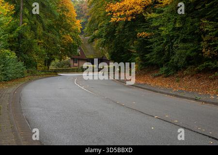 Geschwungene Straße durch farbenfrohen Herbstwald, die zu einem gemütlichen Haus auf dem Land unter bedecktem Himmel führt. Stockfoto