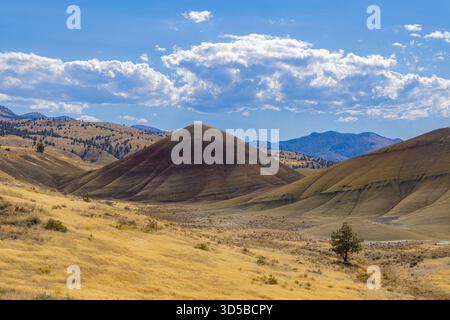 Dramatische Nahaufnahme lebendig farbiger konischer Hügel und Grate in roten, orangen, gelben und braunen Schichten in der Painted Hills Unit Stockfoto