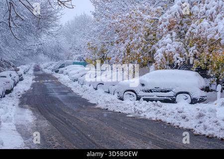 Montreal CA - 11. November 2025: Autos parken auf der schneebedeckten Parthenais-Straße Stockfoto