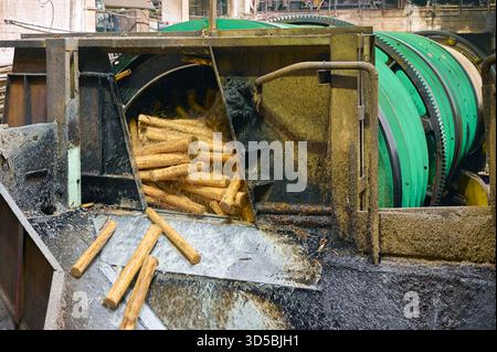 Die Trommelentrindung in einem Holzwerk ermöglicht eine effiziente Entfernung von Rinde aus Baumstämmen Stockfoto