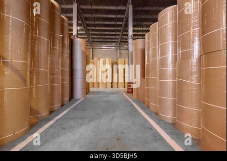 Lager für große Papierrollen in einer Papierfabrik mit organisierter Lagerung und einem sauberen Laufgang für einfachen Transport Stockfoto