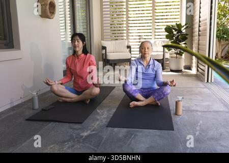 Asiatische Frauen, die zu Hause auf Yogamatten meditieren, genießen friedliche Entspannung. Meditation, Achtsamkeit, Bewegung, Wellness, Zen, Ruhe Stockfoto