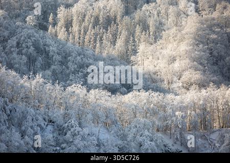Schöne Lichtverhältnisse an einem Wintermorgen im Bodetal, Ostharz, Deutschland. Stockfoto