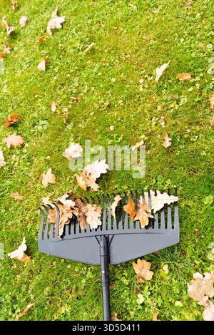 Ein schwarzer Kunststoffrechen liegt auf nassen, gefallenen Eichenblättern und leuchtendem grünem Gras. Dieser niedrige Blickwinkel symbolisiert die Reinigung im Herbst, Wartung und saisonale Arbeit Stockfoto