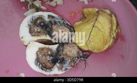 Balut-Embryo-traditionelles Essen, gegrabenes Ei, asien Stockfoto