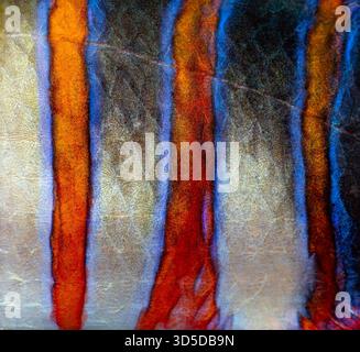 Nahaufnahme der Haut des Choerodon fasciatus, die bunte Muster und Texturen hervorhebt Stockfoto