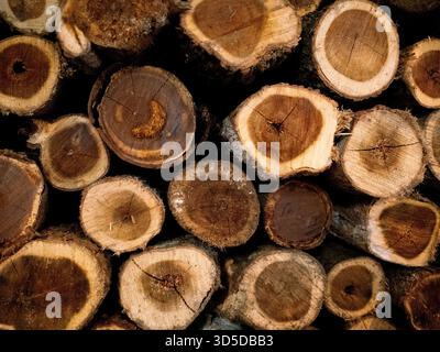Aus nächster Nähe sehen Sie einen rustikalen, ordentlich gestapelten Haufen geschnittener Brennholzstämme, der die natürlichen Ringe und Texturen des Holzes zeigt. Stockfoto