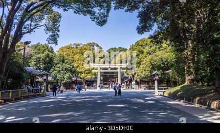 Tokio, Japan - 14. März 2025: Eintritt in den Shinto-Schrein zum Meiji Jingu-Tempel in Shibuya Tokio Stockfoto