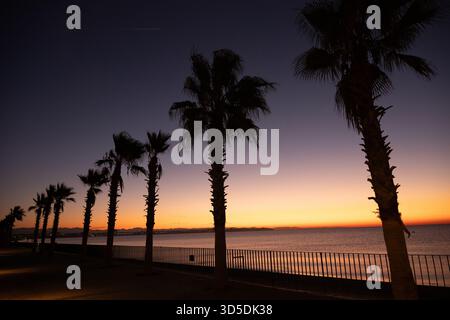Silhouette von zwei hohen Palmen am Strand vor einem dramatischen orange-gelben Sonnenuntergangshimmel über dem Mittelmeer in Antalya, Türkei. Stockfoto