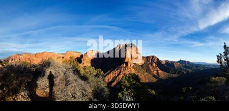 Riesige Wüstenlandschaft in Utah mit geschnitzten Klippen, warmen roten Felsen und einem einsamen Schatten. Zion-Nationalpark Stockfoto