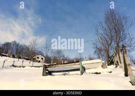 Eine ruhige Winterlandschaft mit einem einsamen Baum, traditionellen Holzhäusern und einem hellblauen Himmel nach dem Schneefall. Perfekt für Natur, Winter, ru Stockfoto