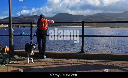 Frau und Hund in Barmouth Wales mit Blick über die Mawddach Mündung zu den Bergen von Cadair Idris und Barmouth Viaduct an sonnigen Tagen. Stockfoto